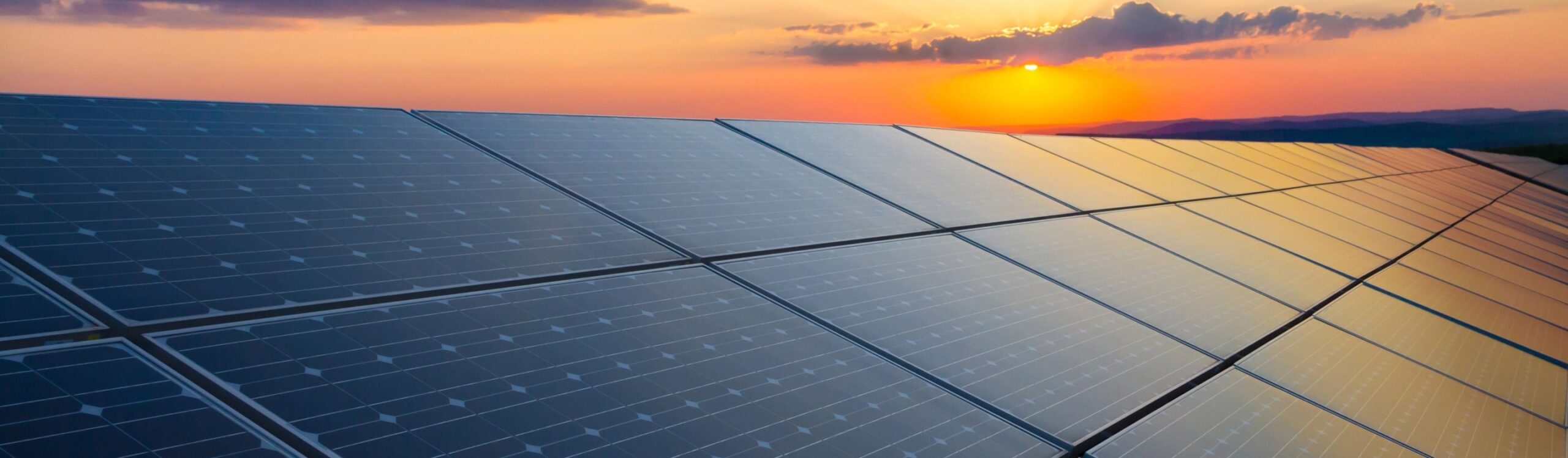 Gewächshaus mit Sunman eArc Solarmodulen — Stromerzeugung und Pflanzenwachstum