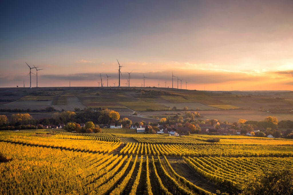 structural shot of wind mills during daytime (Symbolbild: SMA Solar Quartalszahlen)