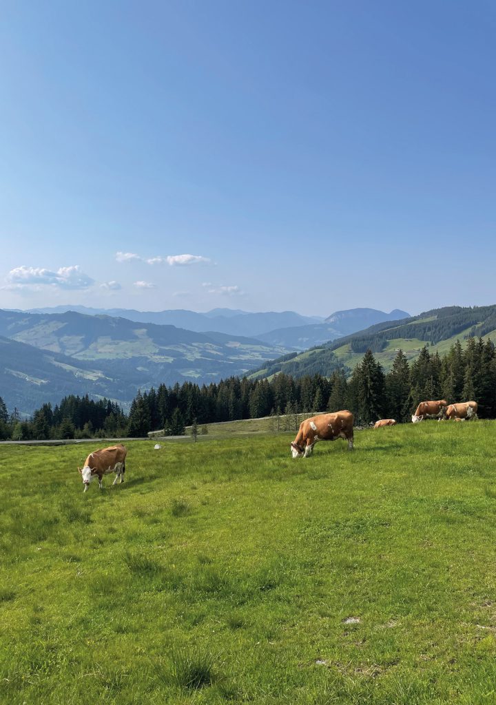 Agri-PV | KW Baustoffe GmbH