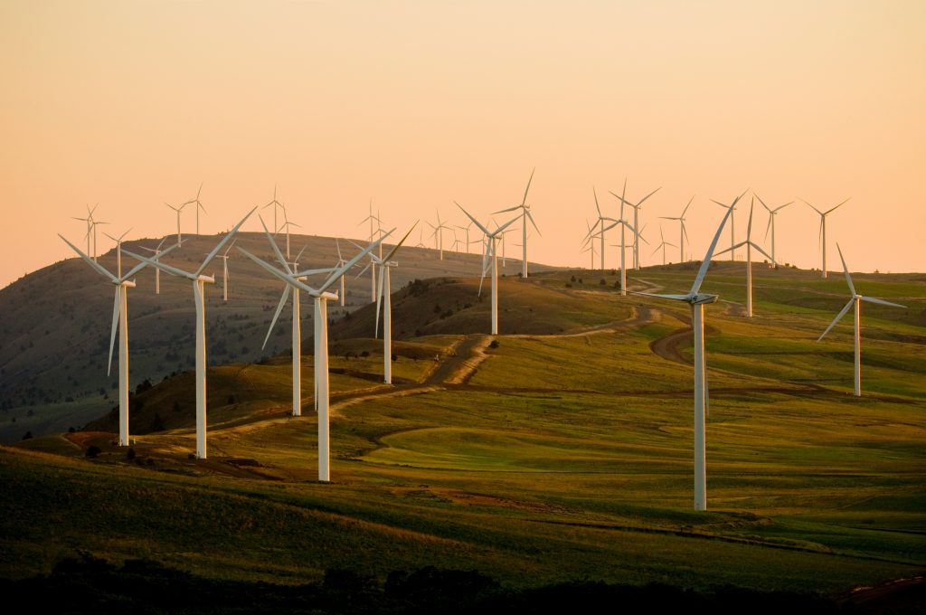 windmills on green field under white sky during daytime (Symbolbild: SLS Schalter erklärt)